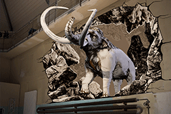 Augsburg-Mittelpunkt