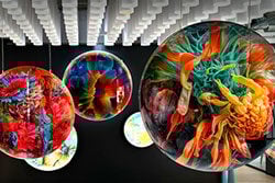 NL-April-Betty-Mue-Vortex-Retro